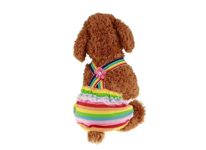 

Female Pet Pants Bitch Heat In Season Menstrual Sanitary Nappy Dog Diaper, As picture showed