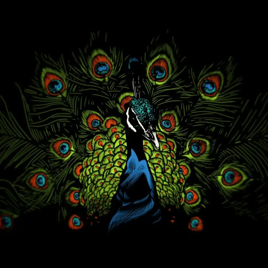 greenyue浸泡持久黑色基本孔雀凝胶波兰星空金光闪闪亮片指甲颜色凝胶