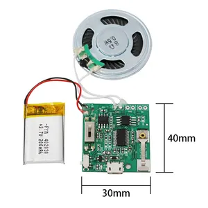 Embedded Sound USB Module Gifts