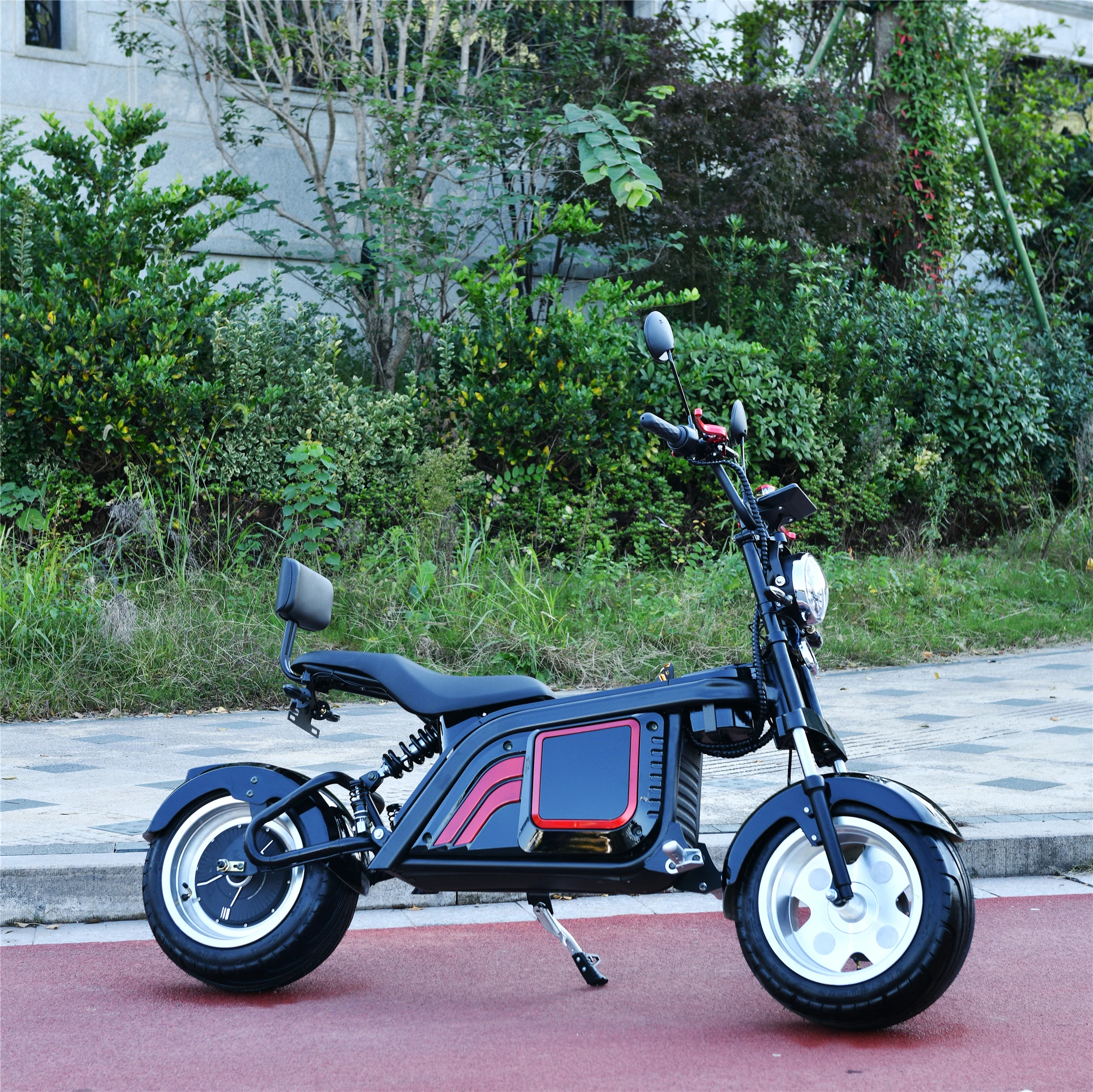 

Quality And Quantity Assured 30AH Removable Battery Electric Scooter For Adult