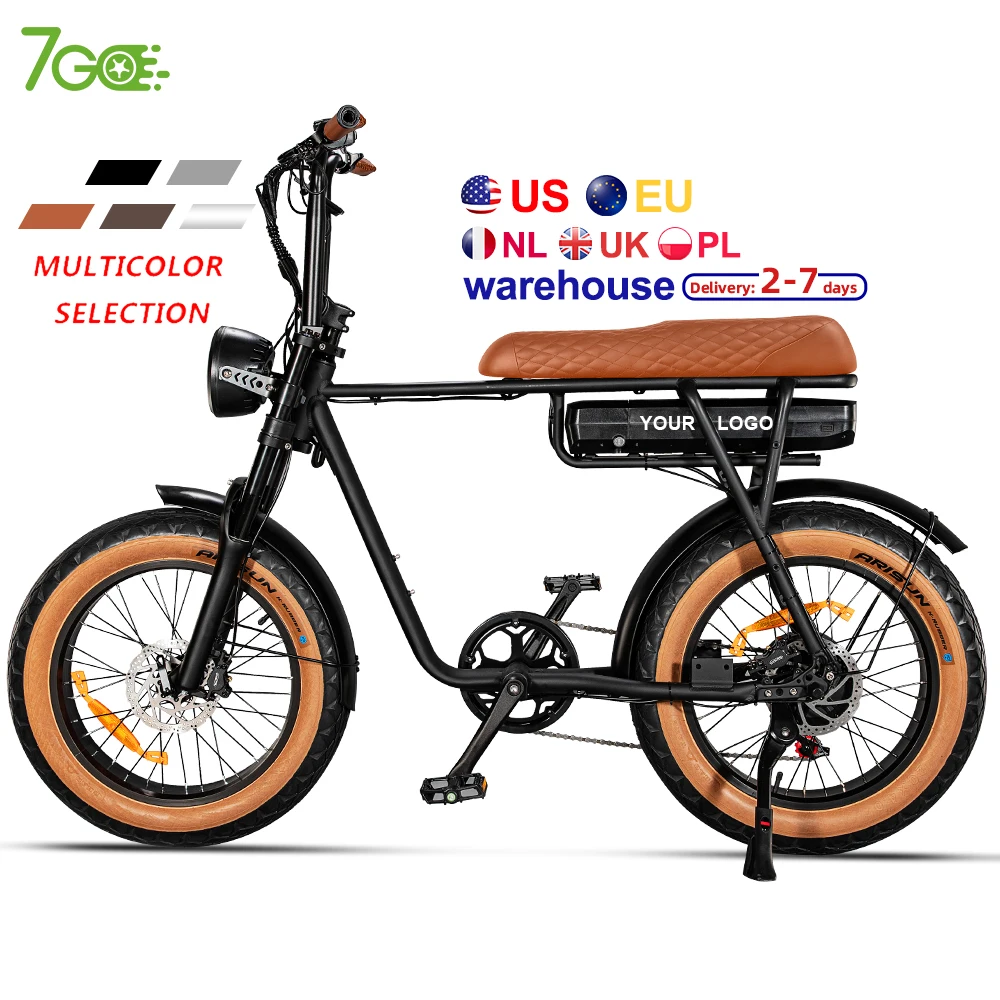 

EU USA warehouse e-bike 750W 1000W Fat tire Electric Mountain Bike for Adult Dirt Electric bicycle