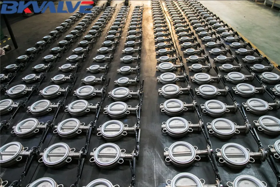 butterfly valve-1.jpg