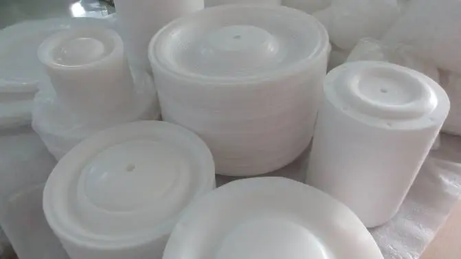 Maaaring ipasadya ayon sa mga pangangailangan ng customer PTFE diaphragm para sa pneumatic diaphragm pumps supplier