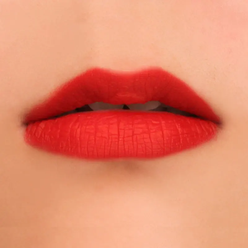 

BIVANFE wholesale top sell private label matte liquid waterproof nude lip stick