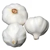 /product-detail/wholesale-2018-china-new-crop-fresh-white-garlic-62114479701.html