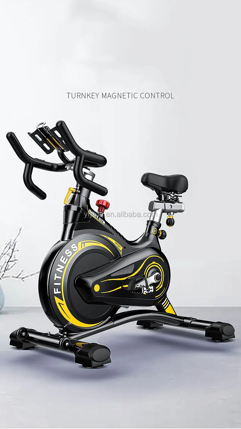 magtonic spin bike