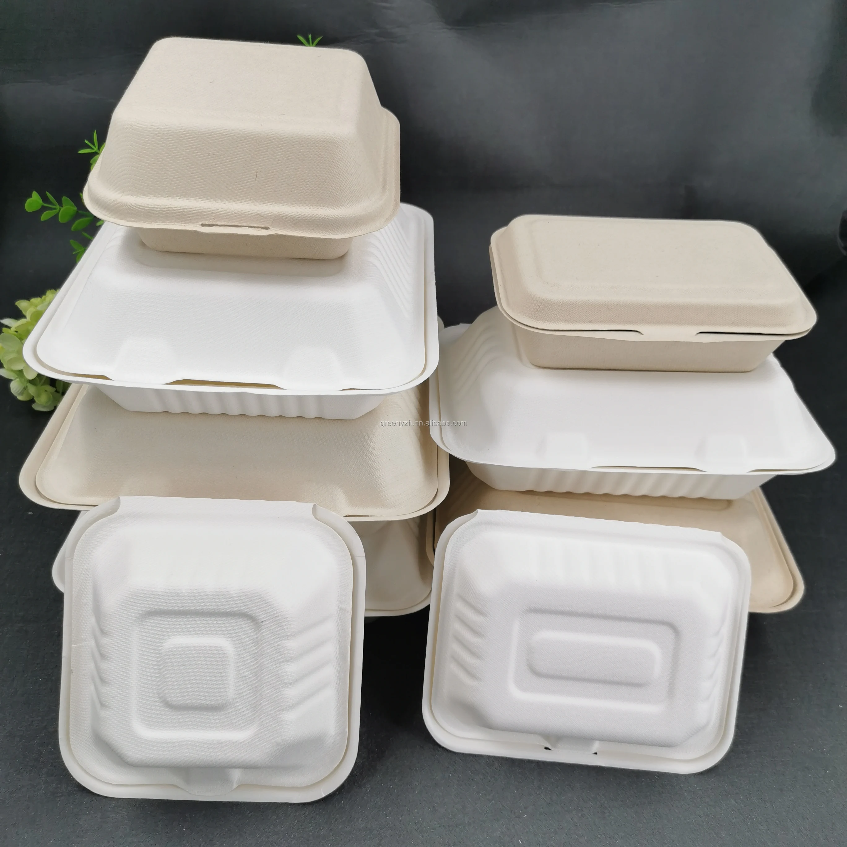 Microwave Safe Compostable Takeout Food Packaging Containers Disposable