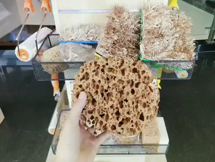 Natural Sea Sponge Wall Painting 6 Inches Texture Design Roller Faux