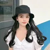 NEW Product Hat Wigs, Synthetic Colorfully Straight Hair Wig With Hat