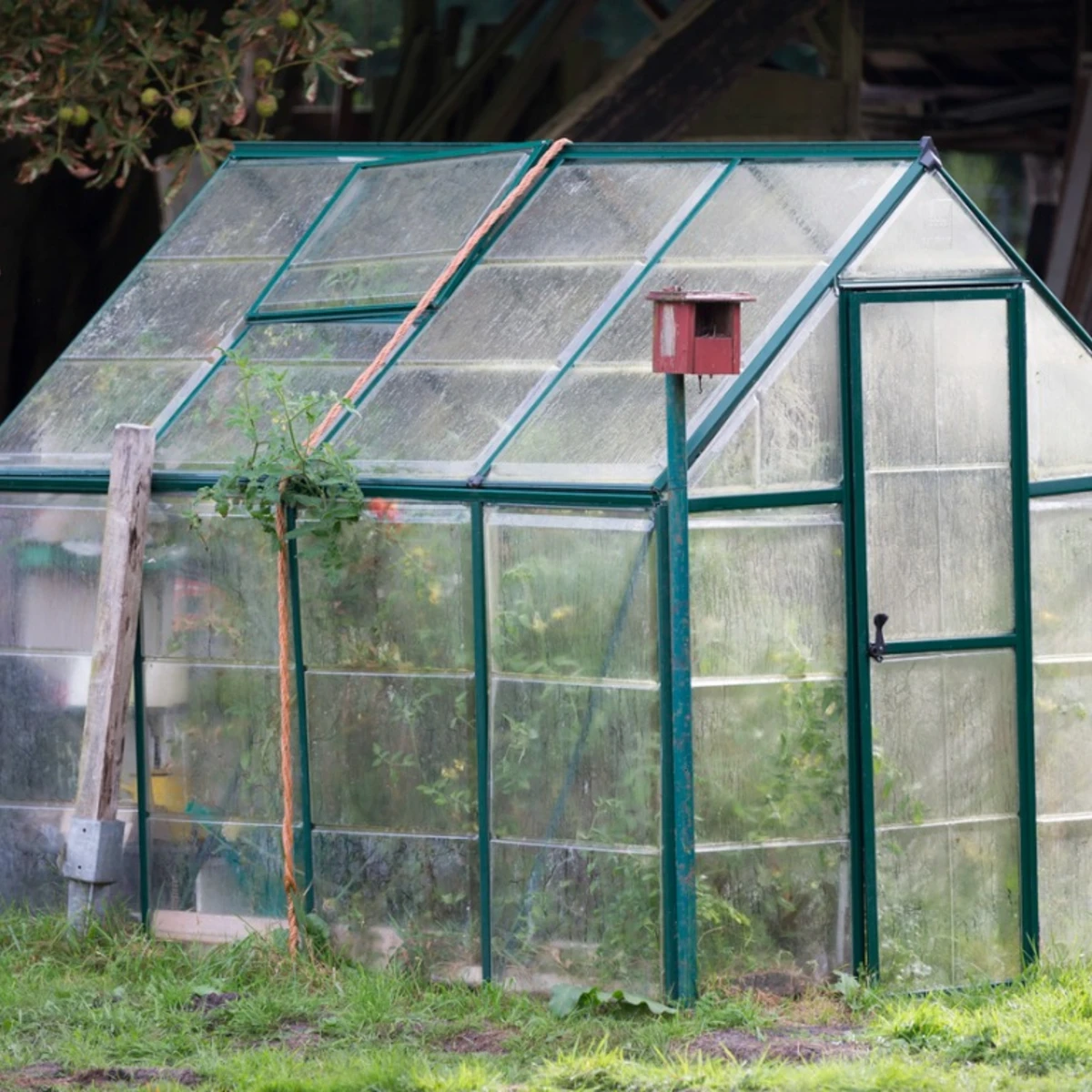 

Skyplant PC greenhouse polycarbonate natural greenhouses home garden