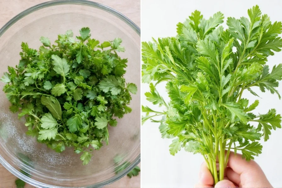 Assorted fresh parsley bunches