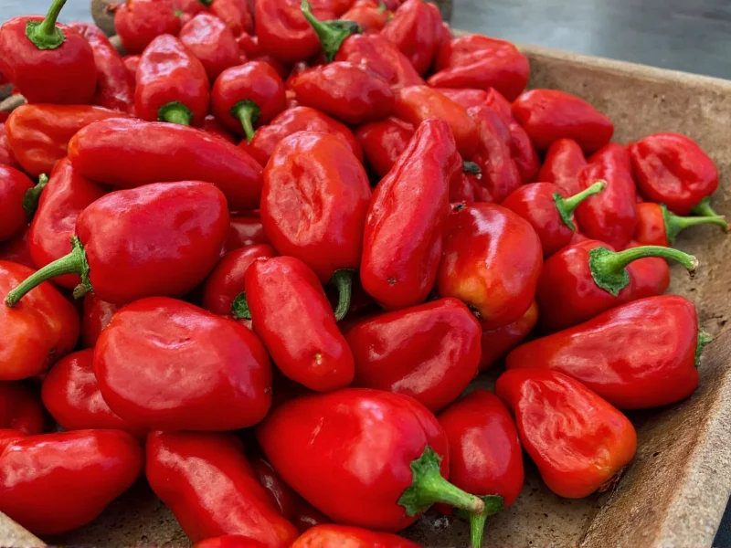 arbol pepper recipes