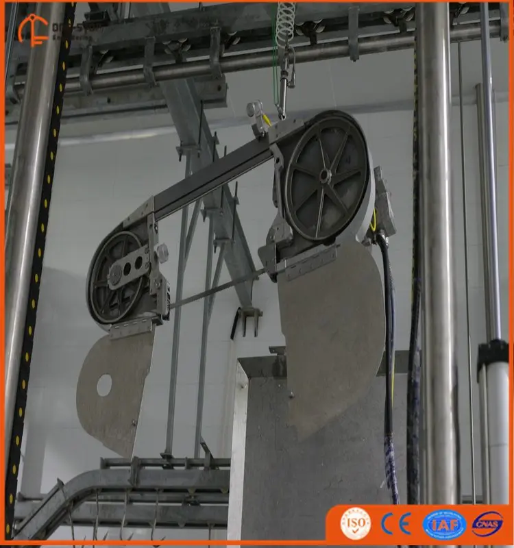 Pig carcass cutting saw in pig slaughterhouse