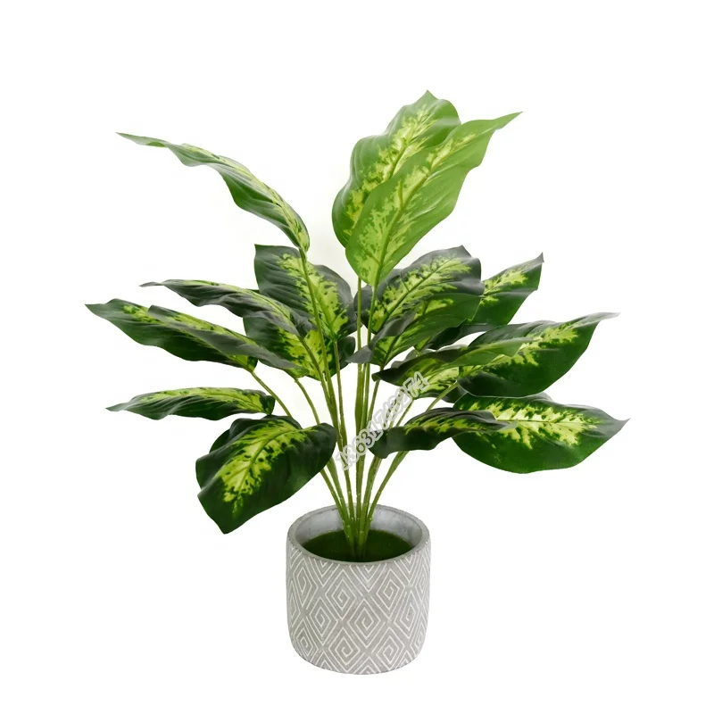 

Factory wholesale high quality faux flower artificial aglaonema plant for table decoration, Picture