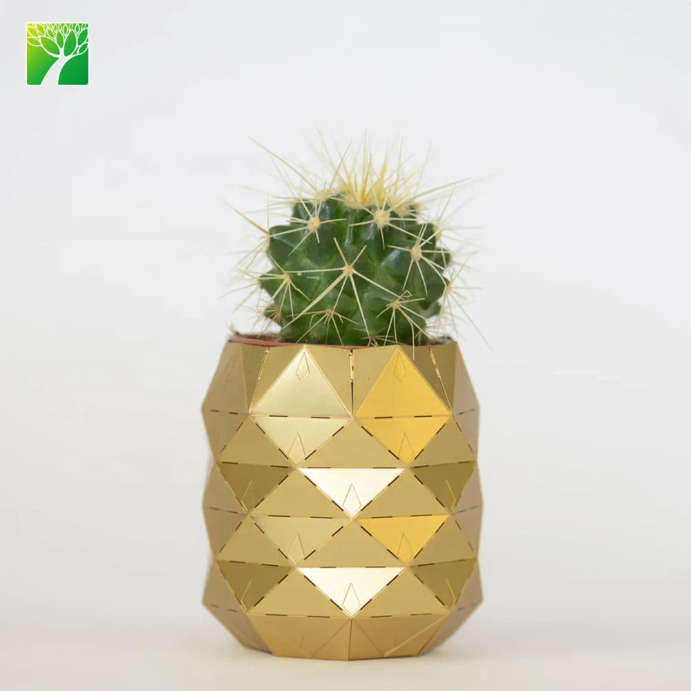 

Wholesale indoor decorative concrete pineapple flower Pot for natural live cactus plant