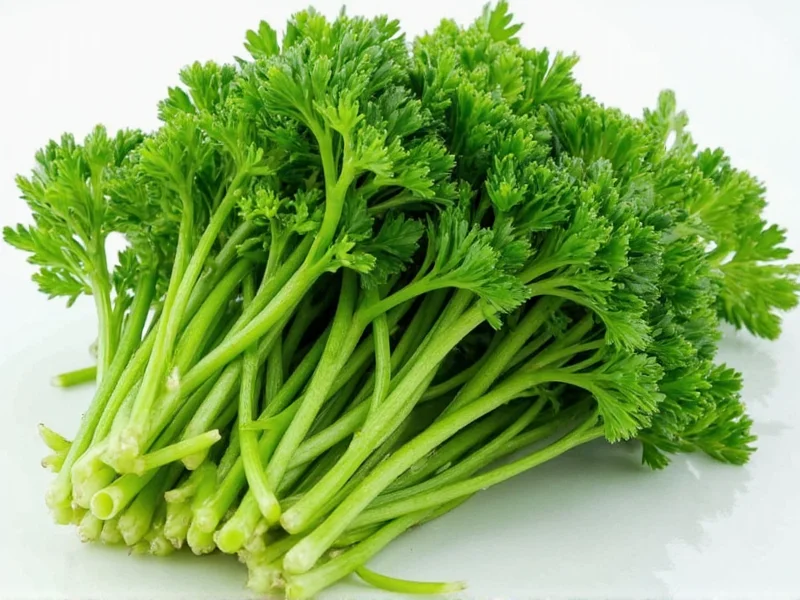 Best Parsley Substitutes: Top 5 Alternatives for Any Recipe