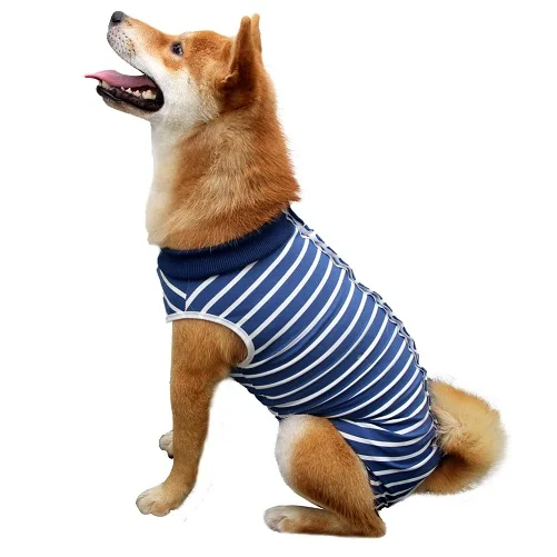 

Amazon's Popular Hot High Elastic Breathable Dog Postoperative Care Accessories Anti-licking Pet Cat Sterilization Clothes, Blue