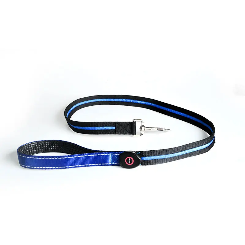 

Pet Collars Leashes USB Recharging Flashing Light LED Dog Leash, Red/ blue/green / green