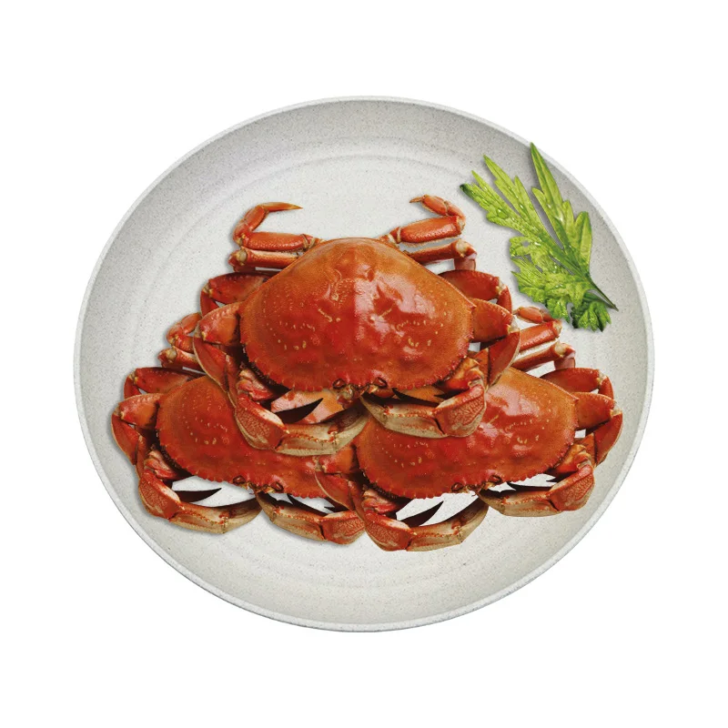 

2021 new wheat straw dinner board plastic degradable tableware set luxury dinner plates sets