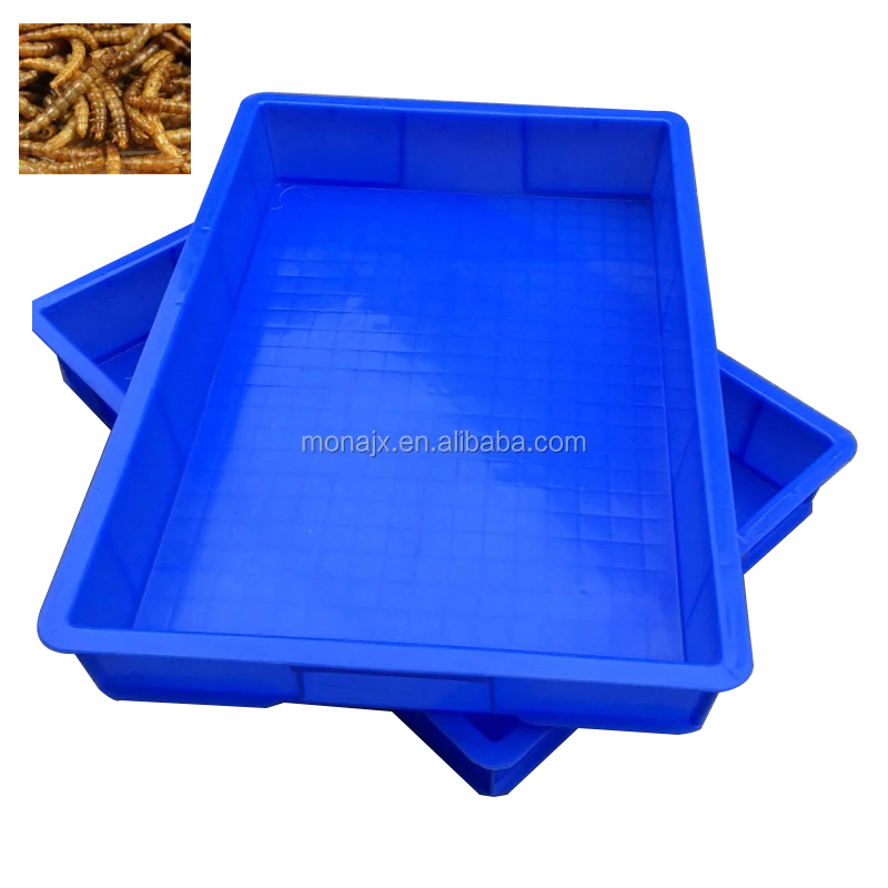 Mealworm Breeding Screens And Box Buy Mealworm Breeding Mealworm