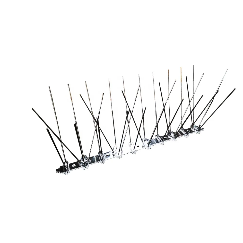 10ft Stainless Steel Pigeon Control Spikes 12 Packs Bird Spikes - Buy ...