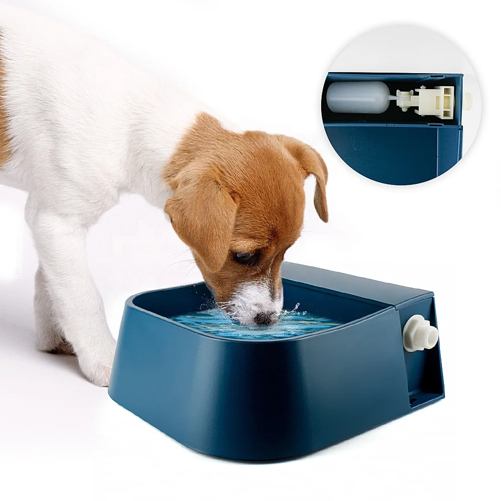 

Novel Design Pet Automatic Waterer Bowl Auto-Fill Water Bowl Apply in Outdoor for Cats Dogs Birds Goats