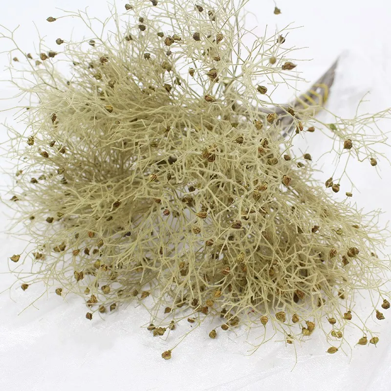 

2020 Valentine's Day Gift Dried Grass Natural And Real Preserved Flower Dream grass