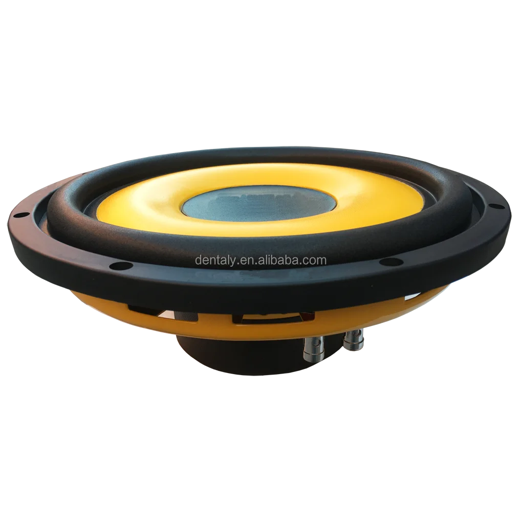 10 /12 Inch 300w Rms Power Slim Subwoofer For Car With Big Flat Dust