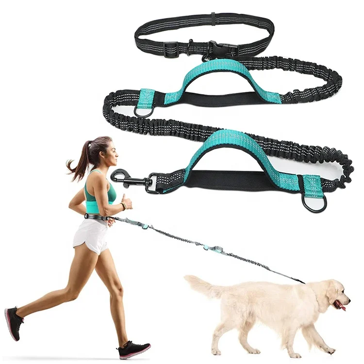 

5 Feet Dual-Handle Reflective Elastic Hands Free Dog Leash for Medium and Large Dogs Running Walking Training Hiking