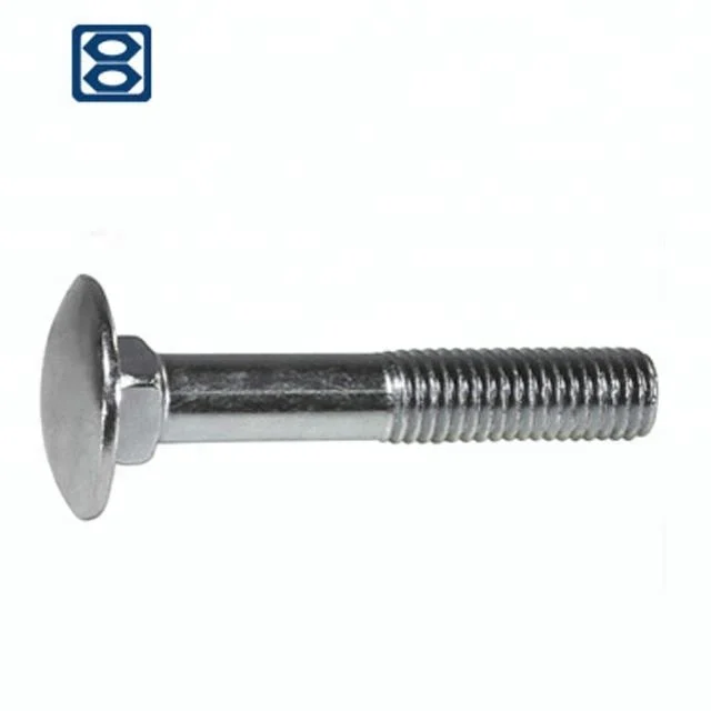 
Haiyan fasteners DIN 603 flat head square neck anchor bolts and nut 