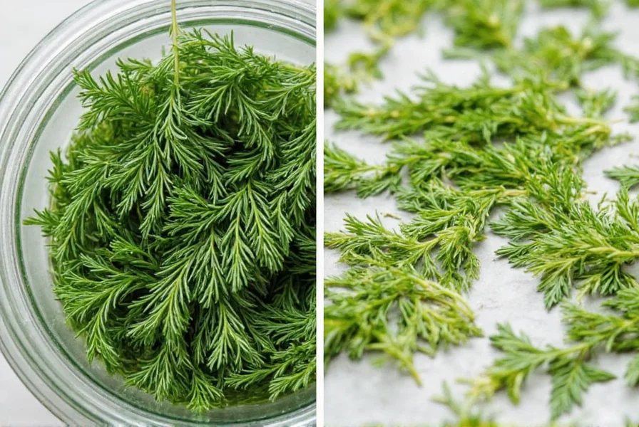 Dill drying on a microwave-safe plate between paper towels