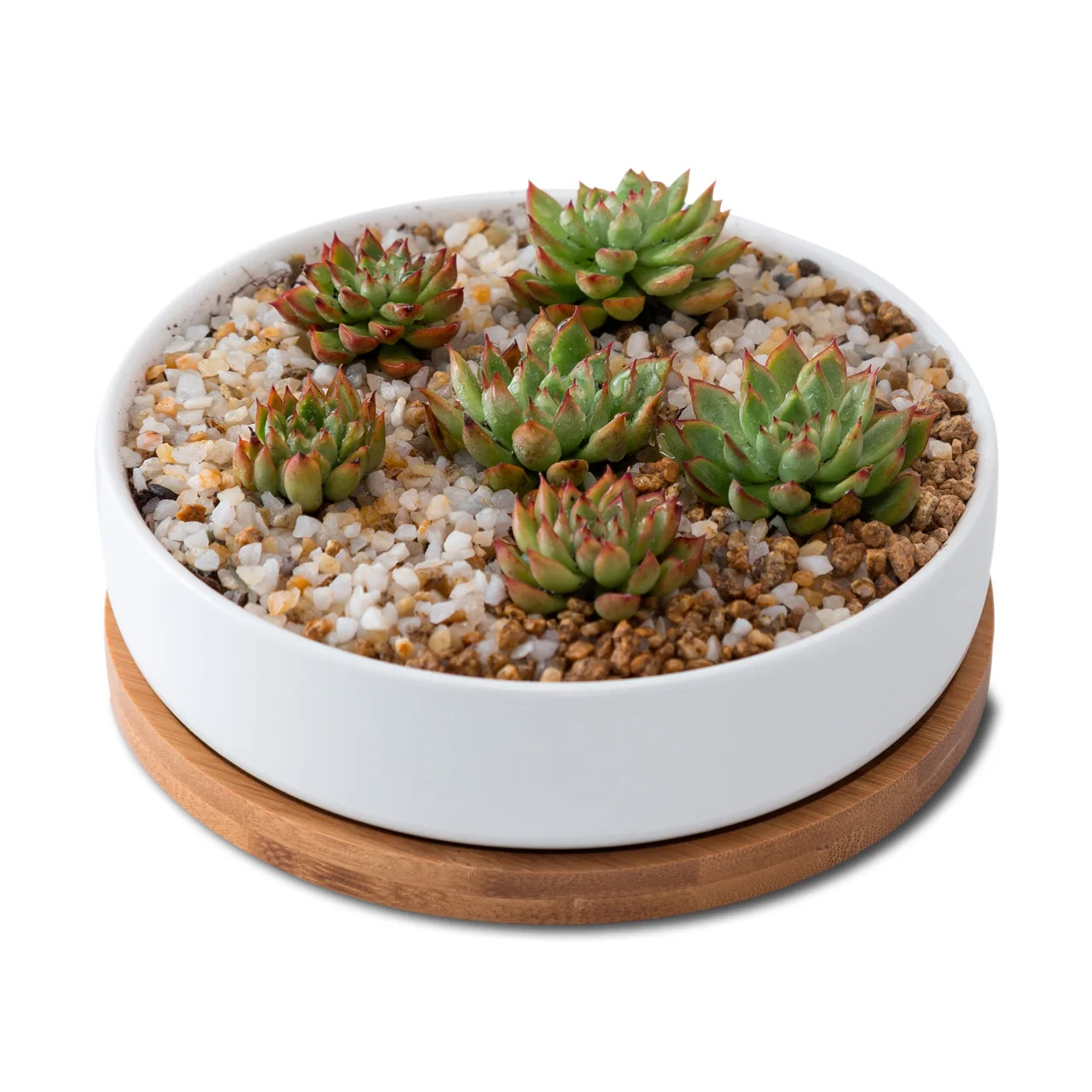 

Cheap Round White Ceramic Vase Plant Pot Planters Indoor Cactus Small Planter Flower Pots & Planters Succulent Pots