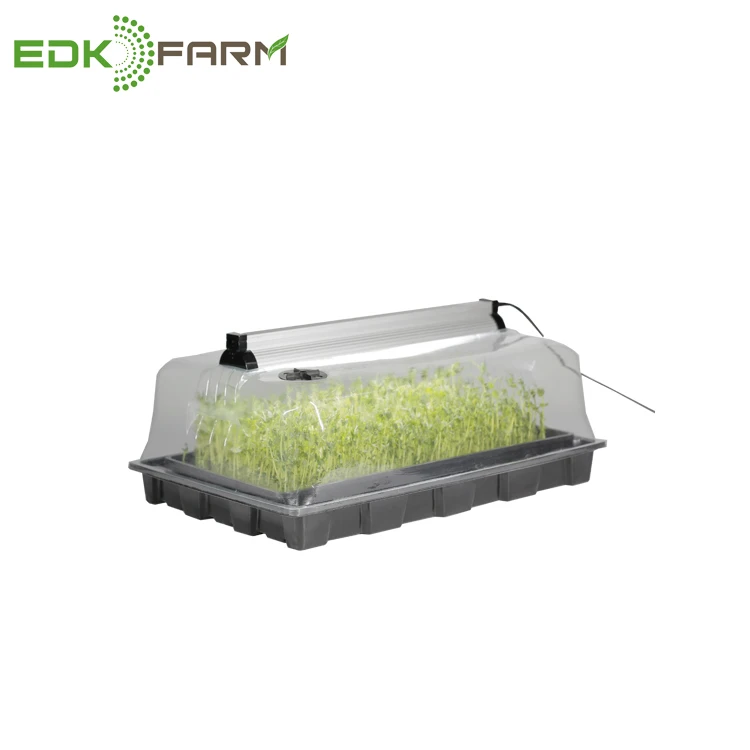 

mini greenhouse antique temperature humidity controller microgreen hydroponics fodder seed grow tray, Clear+black