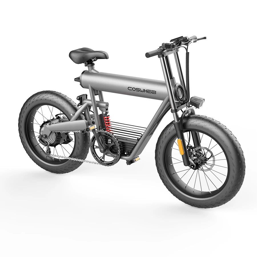 

Fashion adult chopper electric bike e bike coswheel, Space grey color
