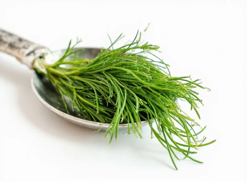 1 Teaspoon Fresh Dill to Dried: Exact Conversion Ratio