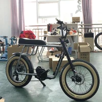 

Mario 2019 new arrival 48v 1000w bbshd bafang mid motor electric bike