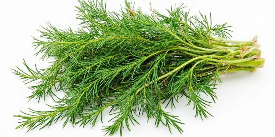 Dill seeds used in herbal tea preparation