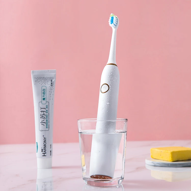 
China cheap manufacturer dr best two sided print brush electric toothbrushes 