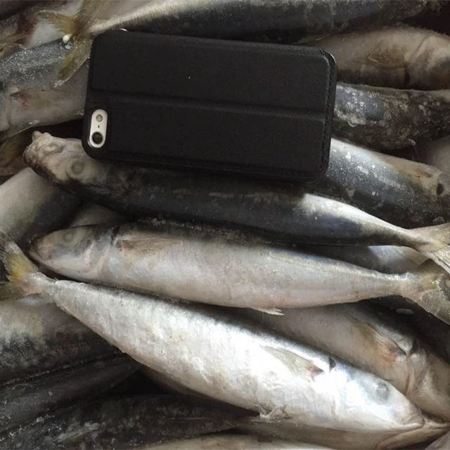 高标准的优质鱼马鲭鱼新鲜鱼片