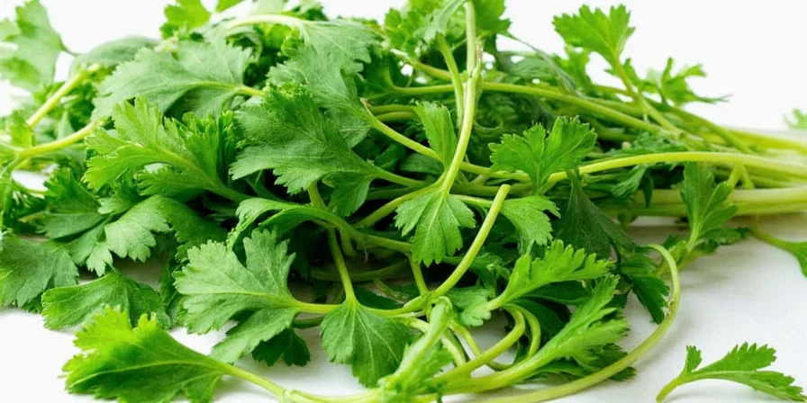 Parsley Panic? Here’s the Dried-to-Fresh Ratio That’ll Save Your Kitchen!