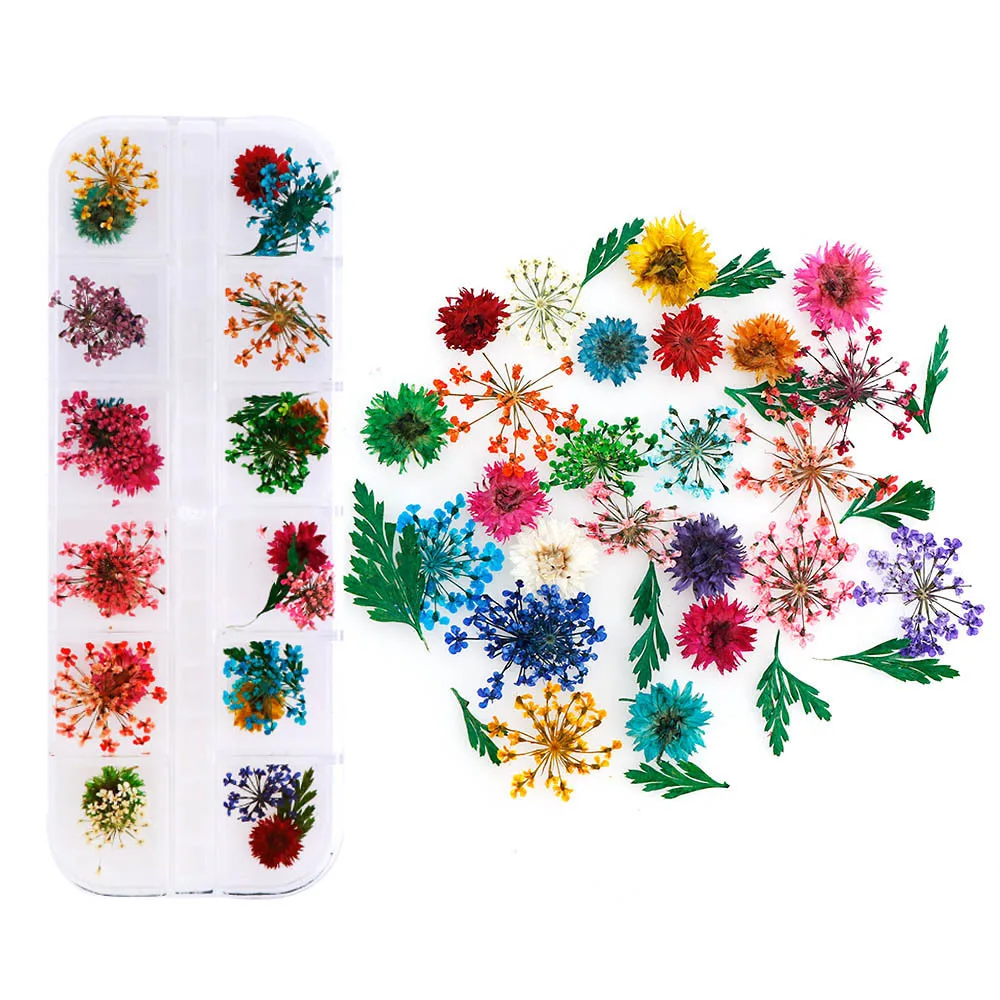 

A101 New Fashionable Dried Flowers Nails Art Decoration Cheap Colorful Mixed Natural Real Dry Dried Flowers nail art stickers, 12 colors