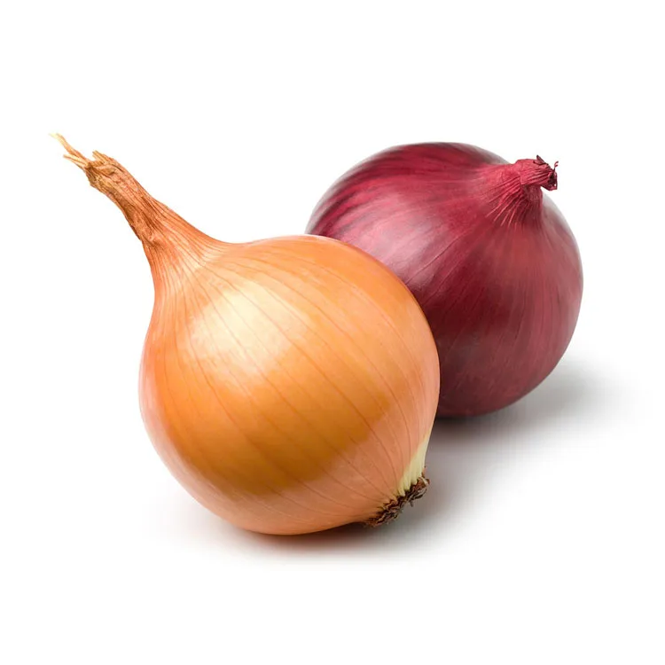
Fresh Onion In Bulk Cheap Red/Yellow Onions For Sale 