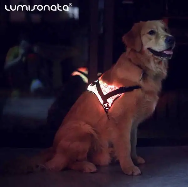 

2021 Hot sale pet dog cat outer space apparel fashion luminous light up fiber optic fabric puppy led pet clothes