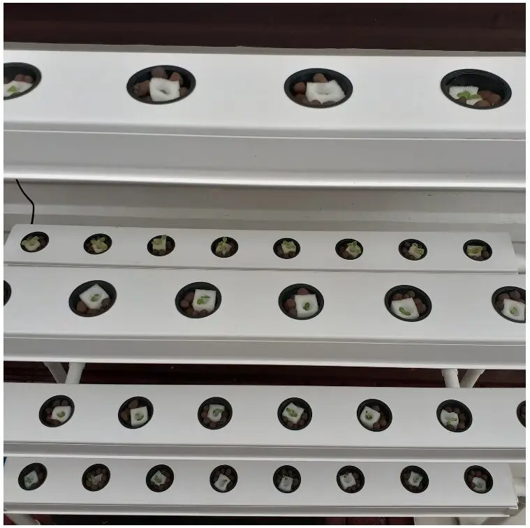indoor grow systems