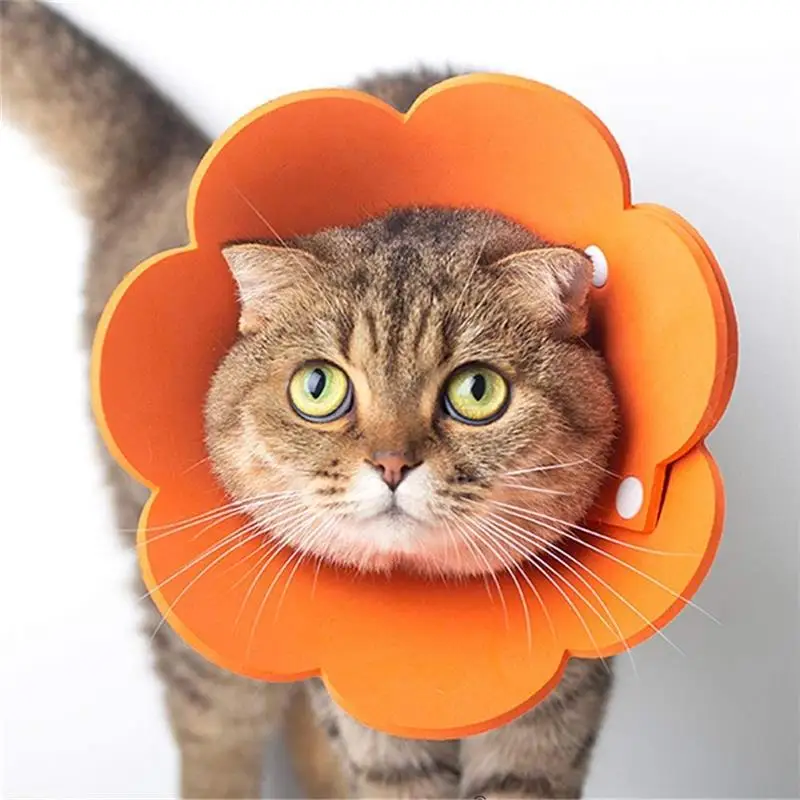 

Soft Pet Recovery E-Collar Cone For Dogs Cats Adjustable E-Collar Neck Cone For Anti-Bite Lick, Customized color