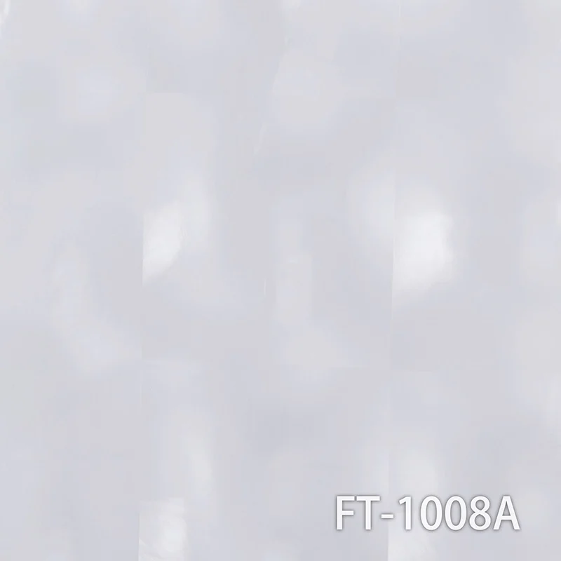 FT-1008A (2).jpg