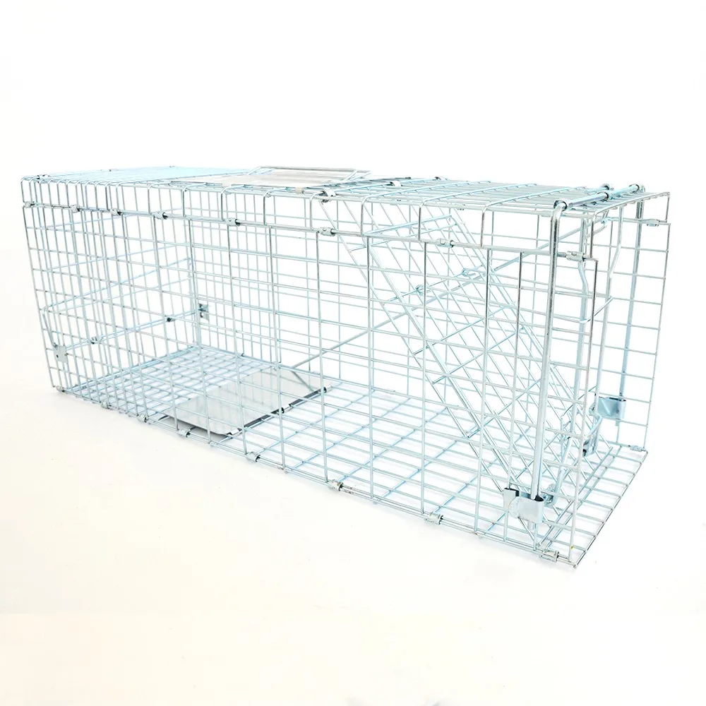 

Large Live Animal Trap Catch Release Humane Rodent Cage Foldable humane animal trap cage for Raccoons Groundhogs