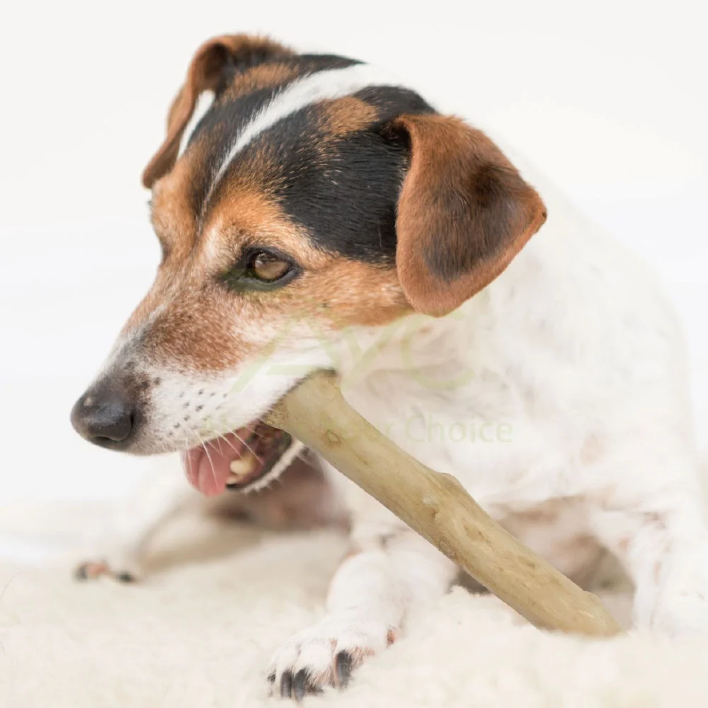 
AYC Eco friendly Exclusive Dealing Java Wood Coffee Wood Dog Chew 