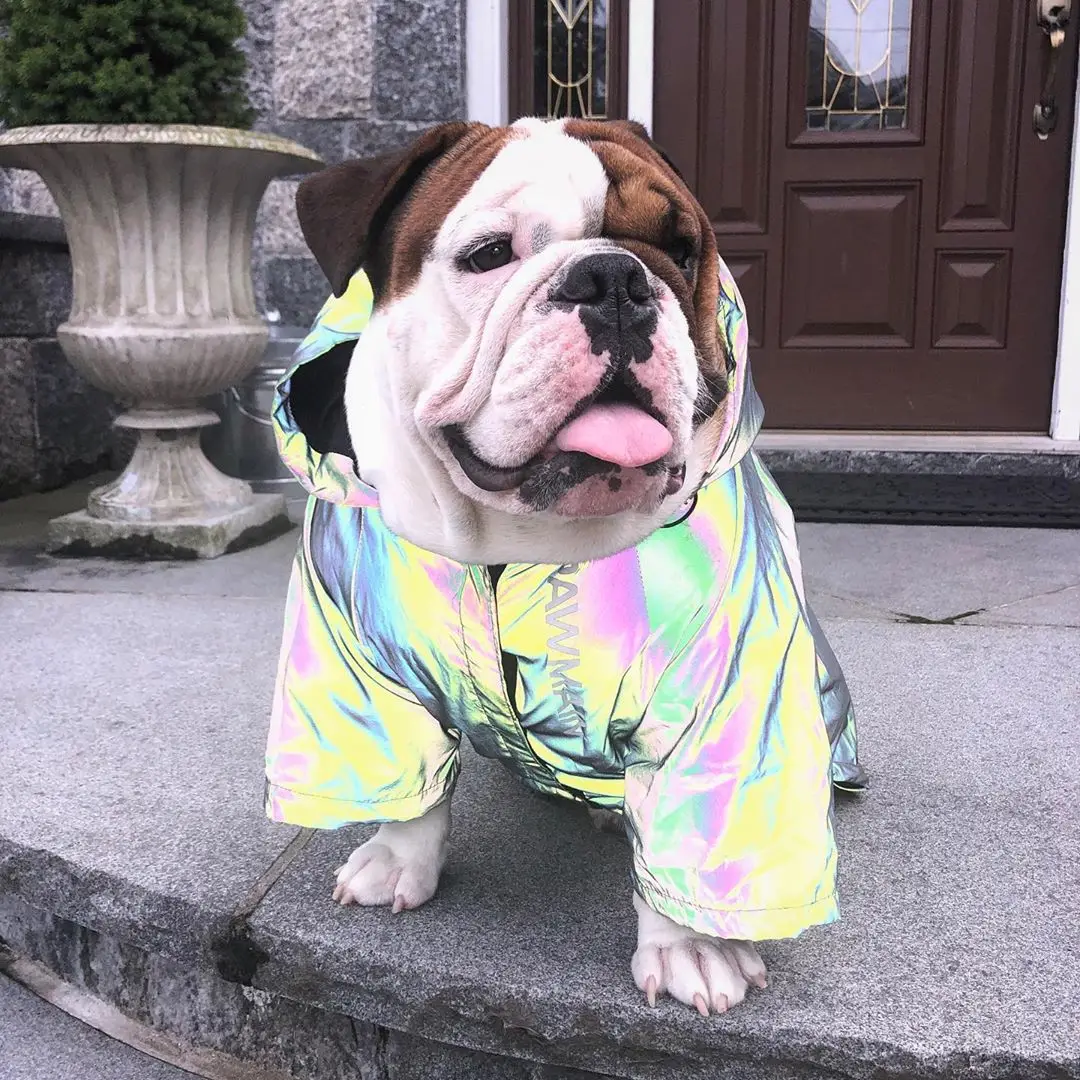 

Pupreme hot selling american style reflective windbreaker fashion dog pets clothes free shipping