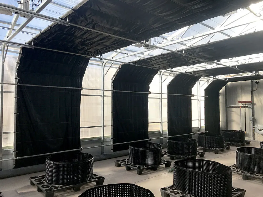 Skyplant Wide Blackout Greenhouse Equipped With Full Automated Light